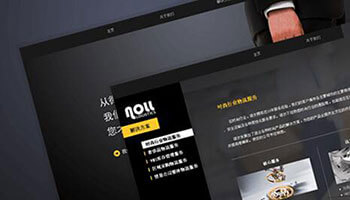 上海諾爾國際物流總經理-王屹訪談