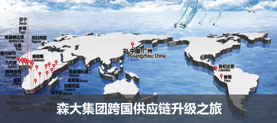 森大集團跨國供應鏈升級之旅